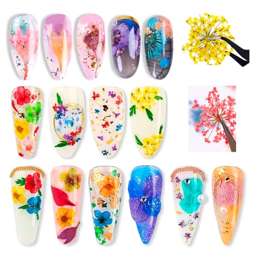 Flores secas para arte de uñas, set de 4 cajas miniatura 4