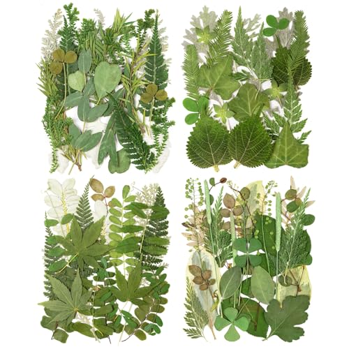 95 Piezas Hojas Secas Naturales para Manualidades DIY miniatura 1