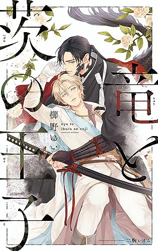 竜と茨の王子【イラスト入り】 (ビーボーイノベルズ)