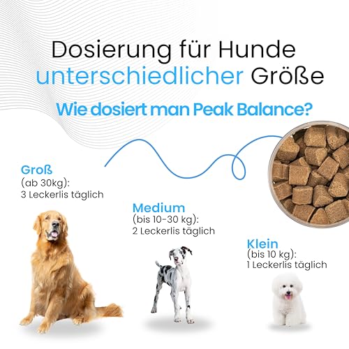 Dogs Valley Vitamine für Hunde Peak Calm - 90Stk Hundeleckerlis – Natürliches Entspannungsleckerli mit Baldrian, L-Theanin, L-Tryptophan, Ashwagandha - zur Stress & Angstlinderung, Lebergeschmack