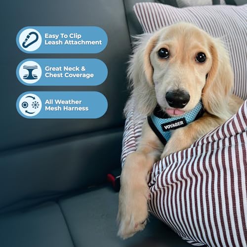 Image of Voyager Step-In Air Dog Harness - All Weather Mesh Step in Vest Harness for Small and Medium Dogs by Best Pet Supplies - Baby Blue Base, M