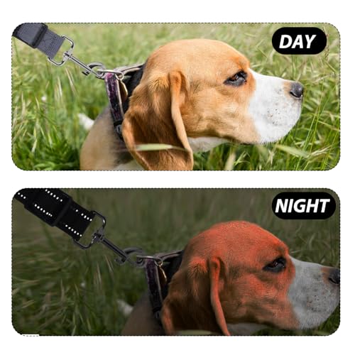 Qianyu 2 Stück Sicherheitshalsbandclips für Hunde Verstellbar Stachelhalsband Sicherungsverschluss Leinenverbinder Leinenclips für Hundewelpen Geschirr Halsband Begleiter Sicherheitsclip