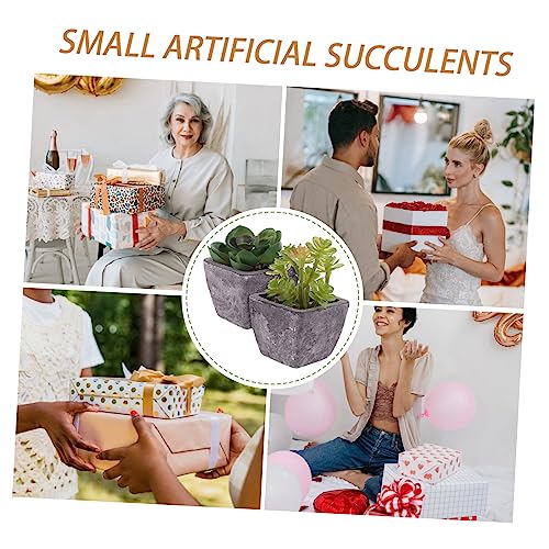 NUSITOU 2 Stuks Tuinaanleg Mini Bonsai Prop Ingemaakte Nepcactus Levendige Bonsai Lichte Huisdecoratie Voor Thuis Kunstmatige Sappige Decoraties Levensechte Cactus Plant Pvc Rekwisieten - Afbeelding 8