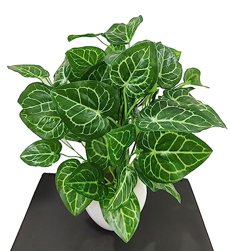 Image of Natural Looking Artificial Money Plant /Tree with Pot | Ornamental Plant for Interior Decor | Home /Shop /Office Decor (Green)