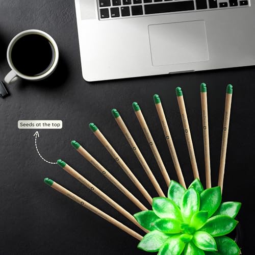 Image of Bombay Greens - 40 Plantable Seed Pencils - Bio degradable Eco-Friendly Stationery for Corporate Gifting | Sustainable Gifts with Seeds - Pack of 40
