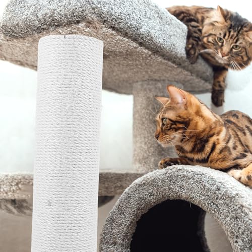 Rascador para Gatos con Cuerda de Sisal 40cm x 8cm miniatura 6