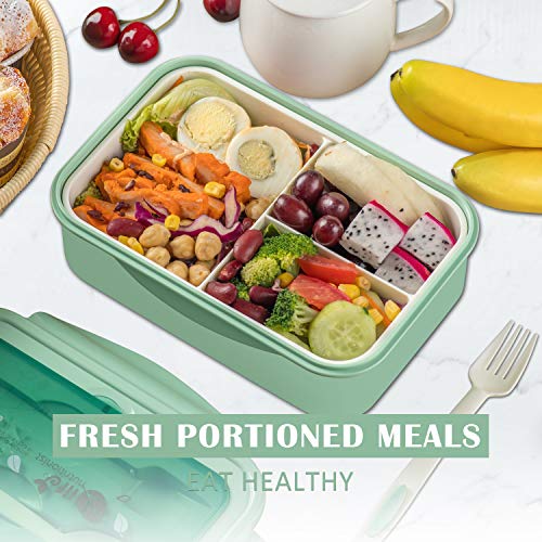Lovina YB0200 Bento Boxes For Adults thumb #5