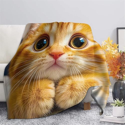 Couverture lit chat en peluche douce, une idée cadeau cocooning idéale - 7