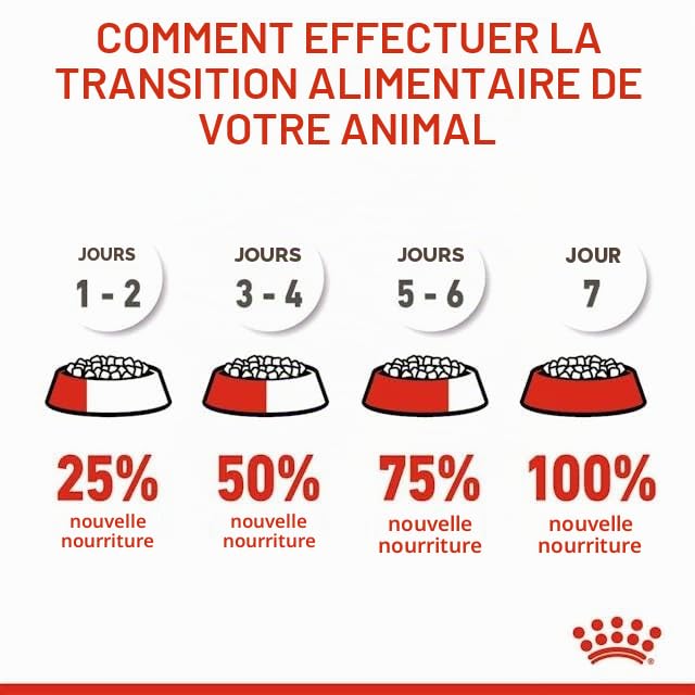 Royal Canin Kitten Sterilised | Pack de 3 | 3 x 400 g | Aliment Complet pour Chats | Spécialement conçu pour Les Chats castrés en Pleine Croissance, de 6 à 12 Mois