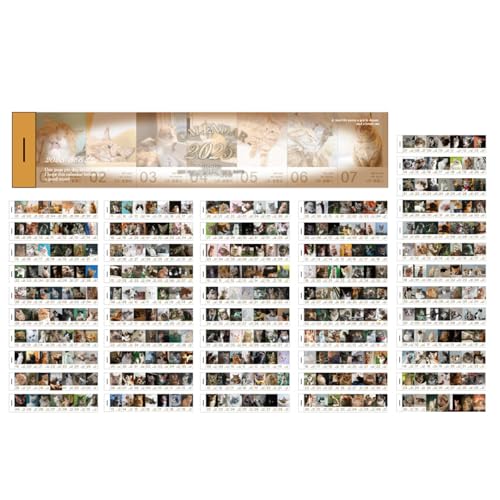 PAVIKE 2026 ~jJ_[ J_[ ~j J _[ ߂J _[ XPW[ LfUC 蒠ƂĂgp\ VNMtgƉp\L