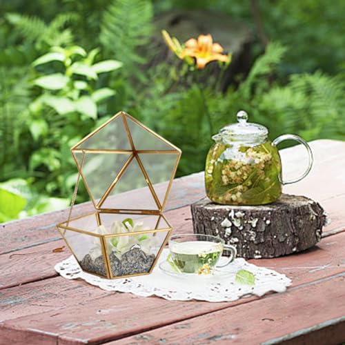 Mini Glass Geometric Terrarium, 6.3inch Air Plant Holder Window Sill Decor Shelf - Image 2