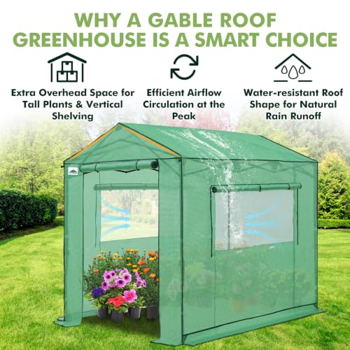 Image of EAGLE PEAK 8x6 Pop Up Walk in Greenhouse, Easy Setup, Gable Roof, Green