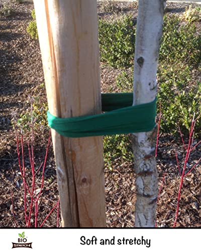 Biostretch Extra Wide Tree Ties And Large Plant String | Environmentally Smart Soft Green Plant Support And Garden Twine (Bio Extra Wide 26 Ft / 8M) #TOP1