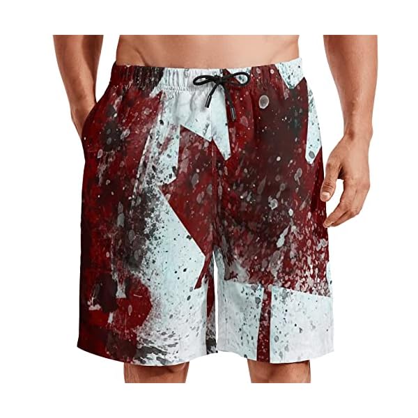 MEQUER Men Swim Shorts, Quick Dry Swim Trunks, Canadian Swim Shorts Mens Beach Cool Shorts with Pockets Mesh Liner - Large