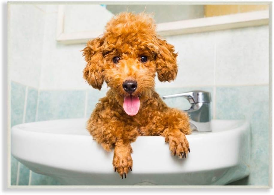 Stupell Industries Goldendoodle Puppy Sink Playtime Gray Framed Wall Art, 16x20, Multi-Color