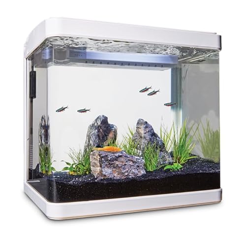 Imagitarium Freshwater Cube Aquarium Kit, 5.2 Gal #TOP1
