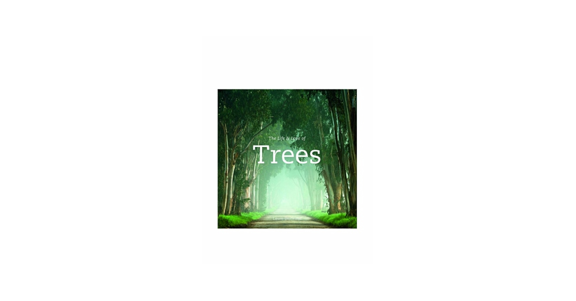 Amazon.com: The Life & Love of Trees: 9780473150952
