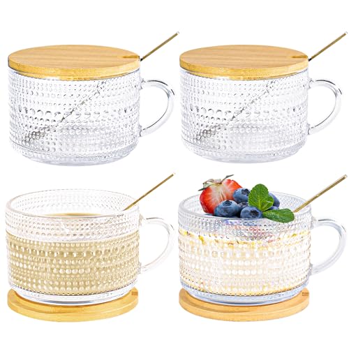 Icesip 14 oz Mugs Set of 4 Vintage Overnight Oats Glass Container...
