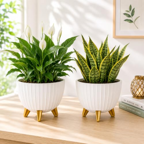 Image of (7 Inch) Plastic Flower Pot for Indoor Outdoor Plants with Stand, Decorative Ribbed Planter Pot with Legs, Round Gamala for Living Room, Pot for Office Table & Home (White,1)