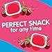 Snack Pack Sugar Free Cherry Juicy Gels, Lunchbox Snack, 4 Count