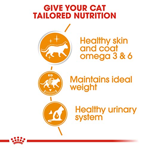 Image of Royal Canin Fit 32 Adult Dry Cat Food 4 kg & Royal Canin Intense Beauty Cat Food, 85 g (12 Pack)