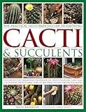 The Practical Illustrated Guide to Growing Cacti & Succulents: The Definitive Gardening Reference On Identification, Care And Cultivation, With A Directory Of 400 Varieties And 700 Photographs