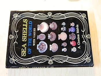 Hardcover Sea Shells of the World with Values Book