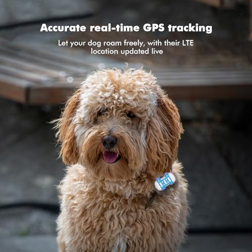GPS-Tracker für Haustiere, GPS-Tracker für Hunde, 4G Live-Satelliten-Tracking, mehrere intelligente Warnungen, vollständig wasserdicht, unbegrenzte Reichweite, Echtzeit Ortung mit App