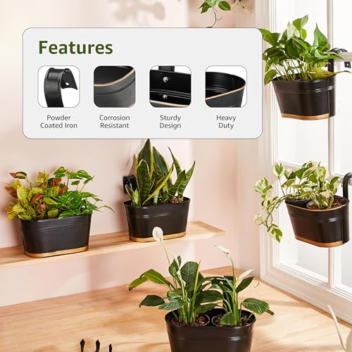 Image of Amazon Brand - Solimo Hanging Metal Planters (Set of 6, Black) - Oval Pots for Balcony, 15 x 25 x 13 cm, Terrace & Indoor Railings, Holds up to 5 kg