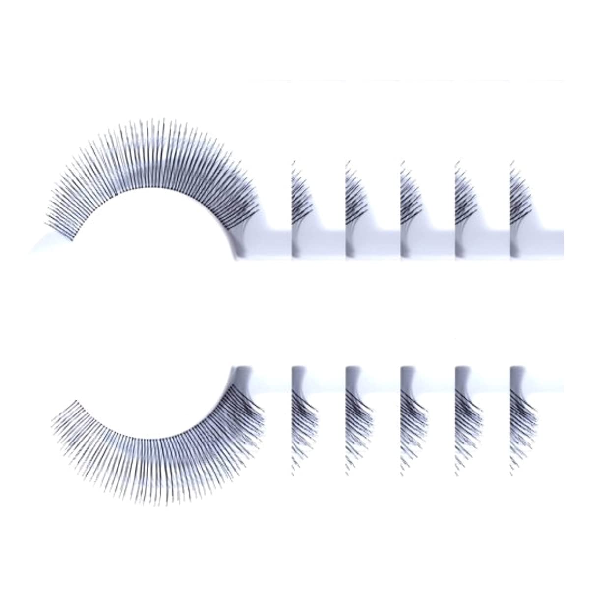 6packs Eyelashes - #12 (Christina)