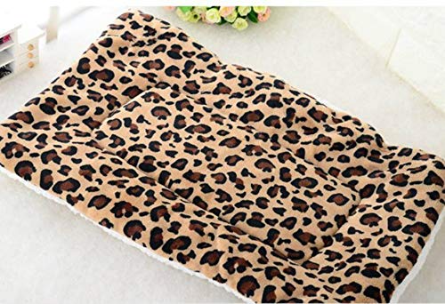 KGCA Morbido Cane da Compagnia Gatto Inverno