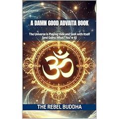 A Damn Good Advaita Book Audiolibro Por The Rebel Buddha arte de portada
