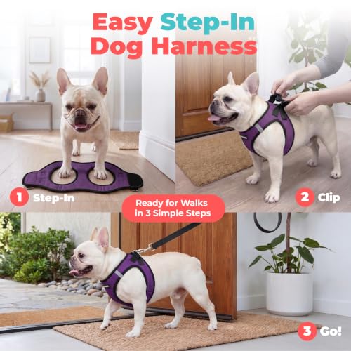 Image of Voyager Step-in Air Dog Vest Harness - Purple /Black Trim, Large