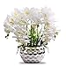 Faux Orchid Artificial Flowers with Silver Ceramic Vase, Artificial Plants for Home Table Decor Indoor