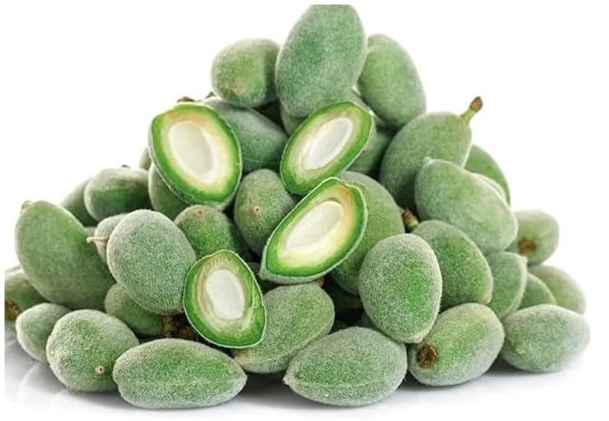 Kejora Unripe Fresh Green Almonds, Cagla Badem, Crunchy Juicy Seasonal Spring Snack, All Natural No Additives, Farm Fresh Hand-Picked (2 lbs)