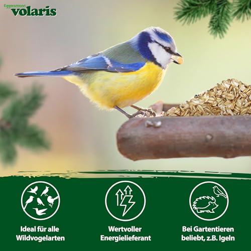 Eggersmann volaris Haferflocken 2 kg – Vogelfutter für Wildvögel – Haferflocken ideal auch als Tierfutter für Igel, Kaninchen & Nager – Wildvogelfutter geeignet für die Ganzjahresfütterung