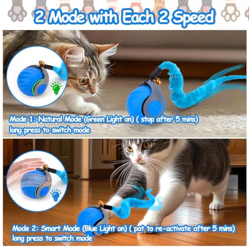 Interaktives Katzenball Spielzeug, Elektrisch Katzenspielzeug Ball interaktives Spielzeug mit Schwanz für Katzen Katzenspielzeug Selbstbeschäftigung,Über USB Wiederaufladbares(Short Tail) blau
