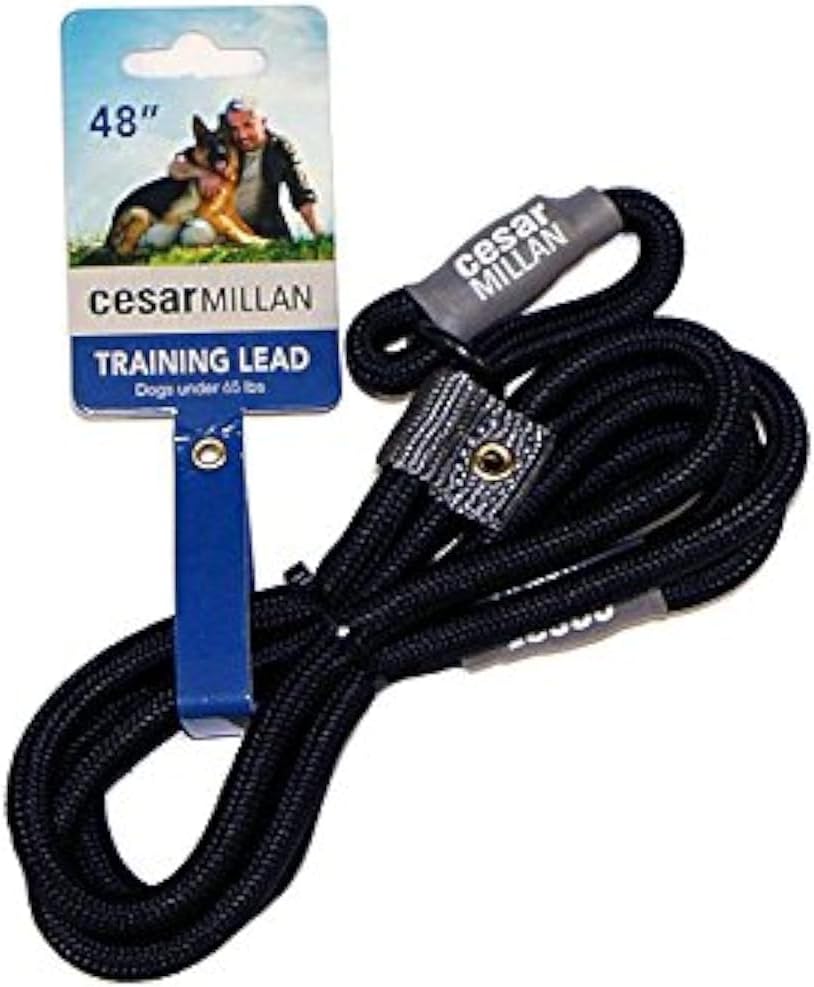 Slip Lead Leash | Dog Leash | in Training Leash | (Regular, Black)