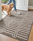 Indoor Doormat, Non Slip Absorbent Resist Dirt Entrance Rug, 32