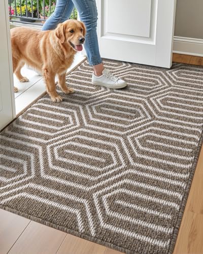DEXI Front Door Mats for Entryway, Non Slip Washable Low-Profile Entry Doormat, Absorbent Resist Dirt Inside Floor Entrance Mat, Patio, 32x48, Brown