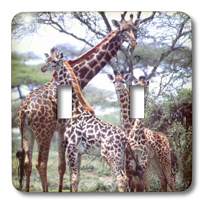 Double interrupteur Girafe David Northcott 3dRose finition premium