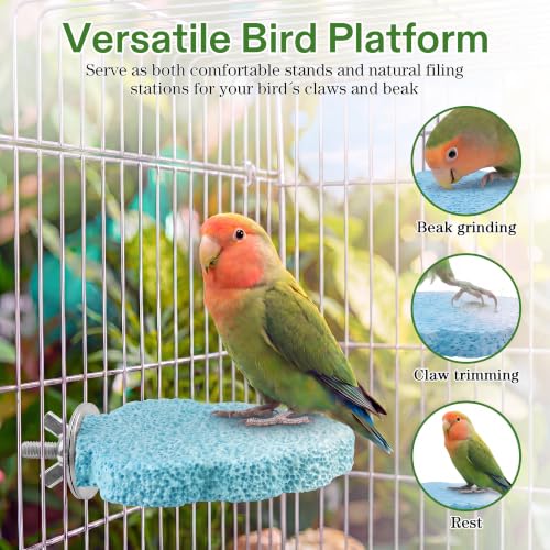 Image of 4 PCS Bird Beak Grinding Stone, Resin Bird Perch Stand, Multicolor, M, Tree