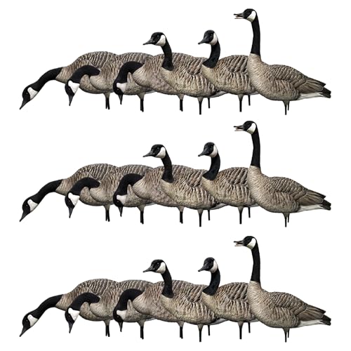Avian X AXP Honkers