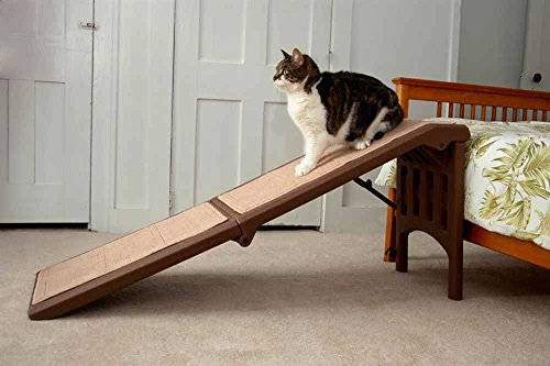 Rampa para cães e gatos de pé sem equipamento para animais de estimação