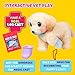 Little Live Pets Ouchies Cooper The Retriever Puppy, 50+ Sounds, Limping to Walking Puppy Toy with Vet Carrier, Interactive Toy Dog for Kids Ages 5+