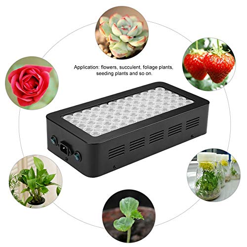 QWERTOUY 1Pc 60LED 600W Grow Light Full Spectrum Lamp for Hydroponics Indoor Greenhouse Plants Flowers greenhouse