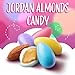 Jordan Almonds | Easter Candy | 1-Pound Bag | Pastel Colored Candy for Easter Eggs Fillers, Wedding Buffets, Party Favors | Old Fashioned Coated Almonds