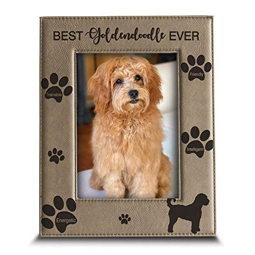 BELLA BUSTA - Best Goldendoodle Ever-Dog Photo Frame-Dog Lover Gift-Engraved Leather Picture Frame (5 x 7 Vertical)