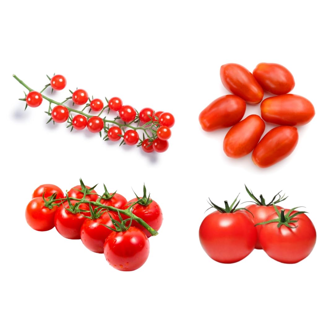 "Gardening Zone 4 Variety Tomato Seeds Combo - Home Garden Kit" (B0CKTSHQGC) Amazon Price History, Amazon Price Tracker