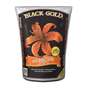 Sun Gro Horticulture SUNGRO HORTICULTURE Black 8-Quart Gold 1302040 Organic Potting Soil
